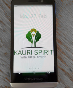 Kauri Spirit Kommunikation