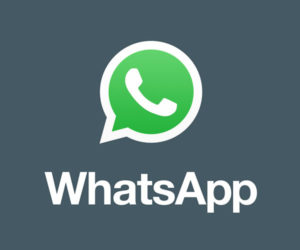 Kauri Spirit Vertriebsberatung WhatsApp