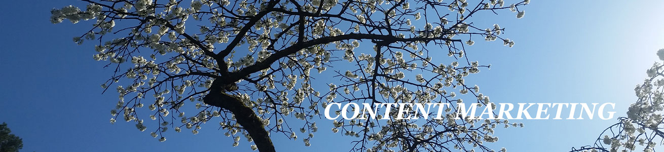 Content Marketing