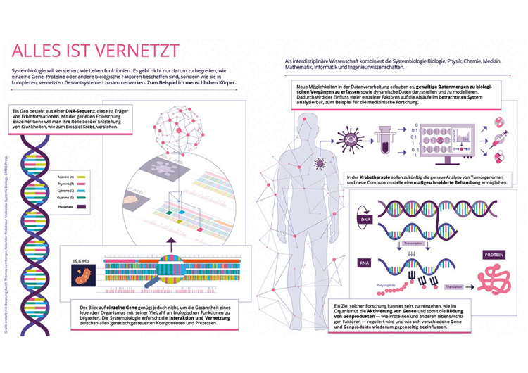 Alles-ist-vernetzt-Artikel-Web-2018 Alles ist vernetzt Kommunikation 2018