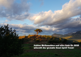 Kauri Spirit Marketer Spanien Mallorca Soller