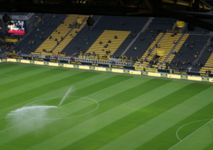 Kauri Spirit Fan Events BVB Dortmund