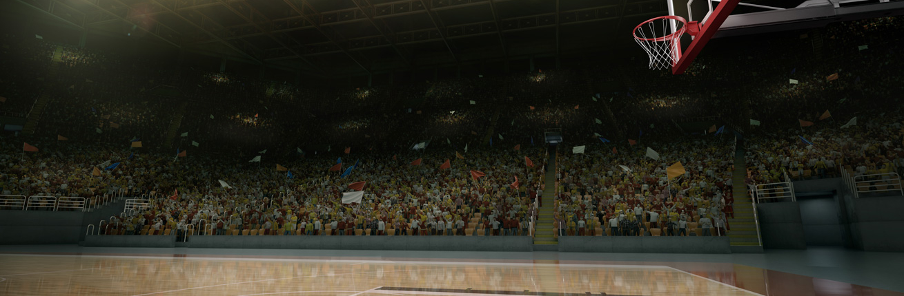 Kauri Spirit Sportmarketing BBL Basketball 2020