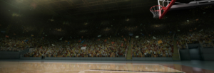 Kauri Spirit Sportmarketing BBL Basketball 2020