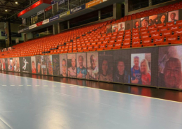 SG Flensburg-Handewitt Fan-Collage LED Banden 2021