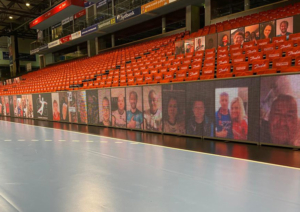SG Flensburg-Handewitt Fan-Collage LED Banden 2021