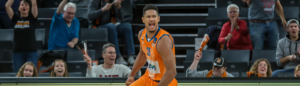 Ulm Fan-Ranking Rebounds Basketball