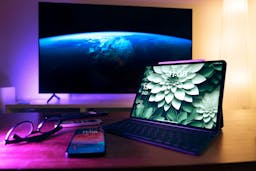 Kauri Spirit Fan-Momente